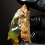 30.46g Rough Specimen