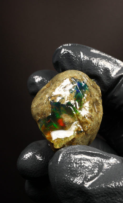 26.75g Rough Specimen