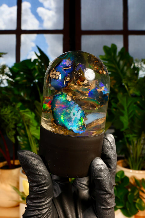 New Drop: The Dendrite Collection