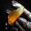 14.24g Rough Specimen