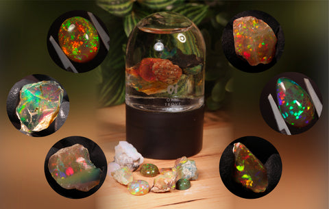 Happy Gena! 🇪🇹 30% Off New Drop