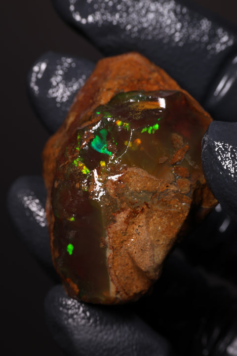 24.79g Rough Specimen