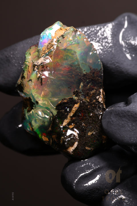 14.56g Rough Welo Ethiopian Specimen Opal