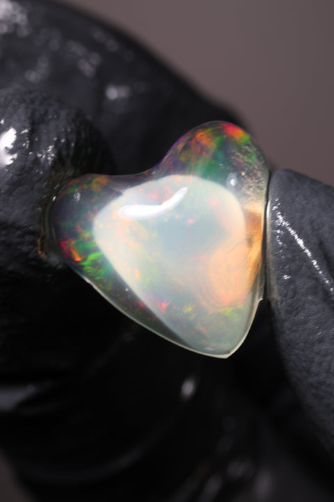 9.20ct Polished Specimen