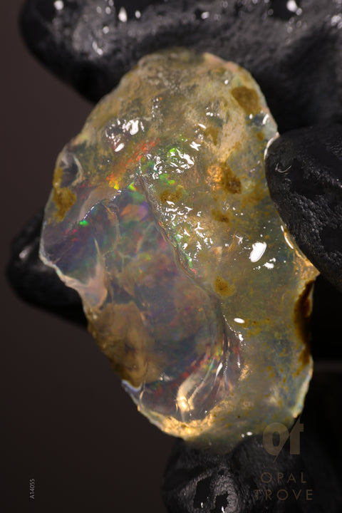 10.49g Rough Welo Ethiopian Specimen Opal