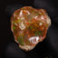 9.78 Rough Ethiopian Jewelry Grade Welo Opal