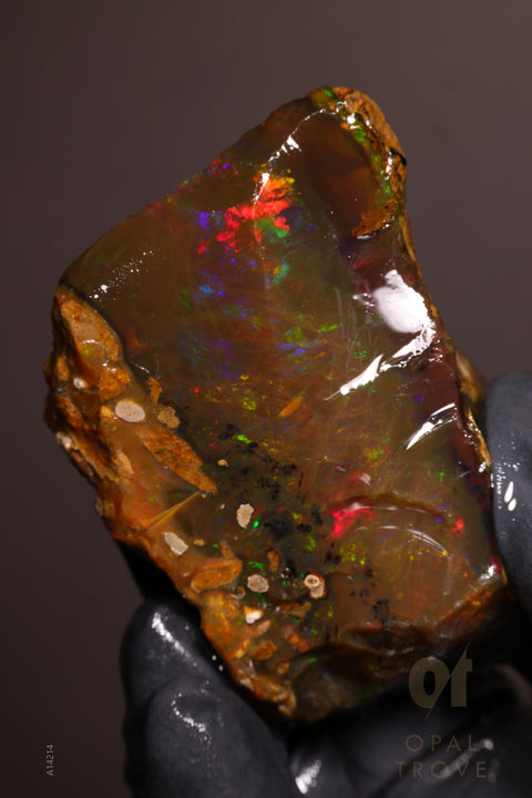 70.33g Rough Welo Ethiopian Specimen Opal
