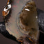 48.78g Rough Welo Ethiopian Specimen Opal