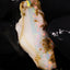 1.20g Rough Ethiopian Chalk Opal
