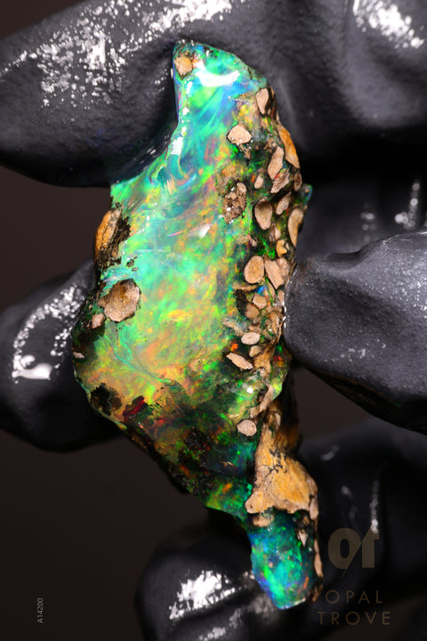 15.22g Rough Welo Ethiopian Specimen Opal