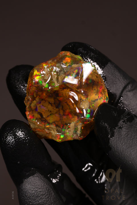 11.02g Rough Welo Ethiopian Specimen Opal