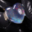 32.40ct Polished Specimen