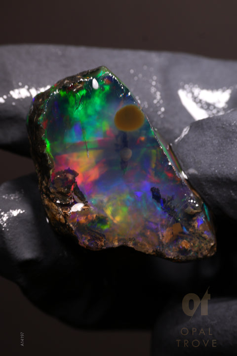 14.66g Rough Welo Ethiopian Specimen Opal