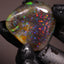 171ct Polished Ethiopian Specimen Welo Opal