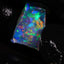 0.76g Rough Ethiopian Chalk Opal