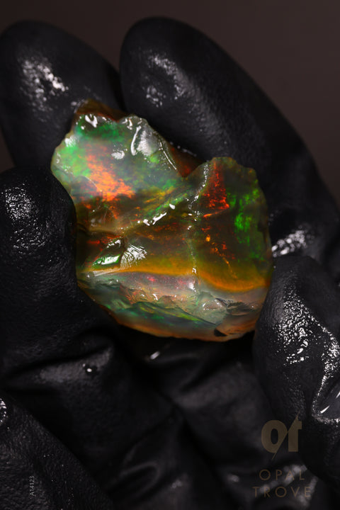 12.93g Rough Welo Ethiopian Specimen Opal