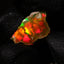 0.52 Rough Ethiopian Jewelry Grade Welo Opal