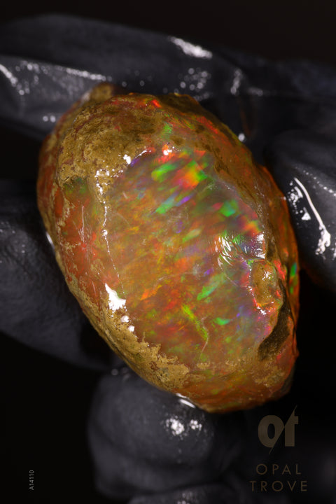 35.51g Rough Welo Ethiopian Specimen Opal