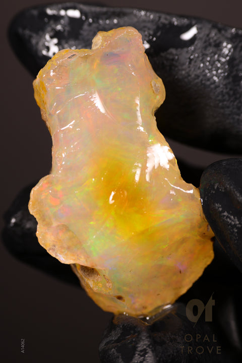 16.22g Rough Welo Ethiopian Specimen Opal