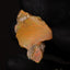 3.08g Rough Ethiopian Jewelry Grade Welo Opal