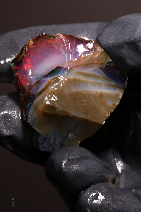 11.59g Rough Welo Ethiopian Specimen Opal