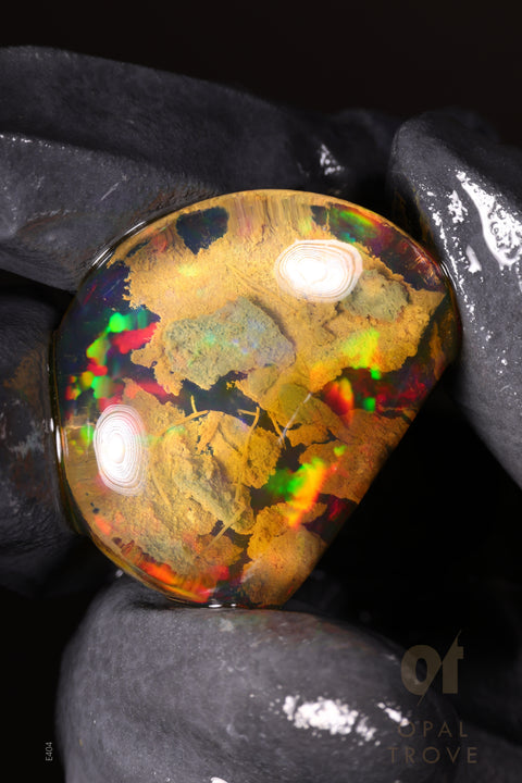 48.70ct Polished Ethiopian Specimen Welo Opal