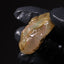 17.49g Rough Specimen