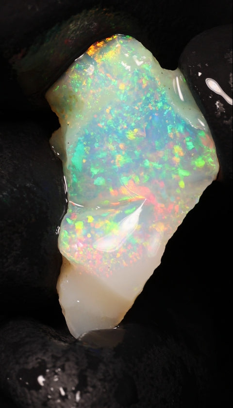 1.13g Chalk Opal