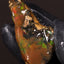 8.14g Rough Specimen