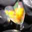 14.85ct Polished Ethiopian Specimen Welo Opal