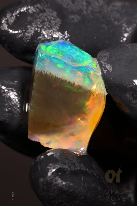 4.15g Rough Welo Ethiopian Specimen Opal