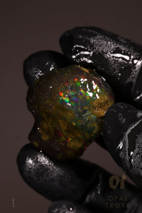 11.44g Rough Welo Ethiopian Specimen Opal