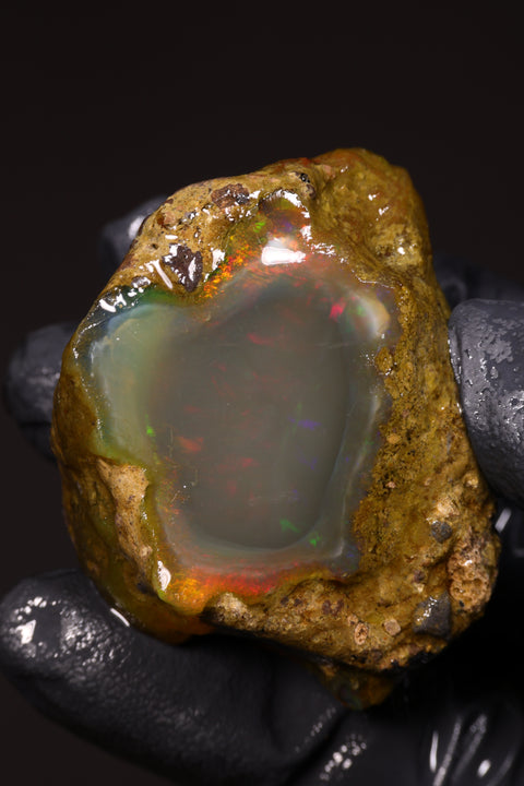 49.43g Rough Specimen