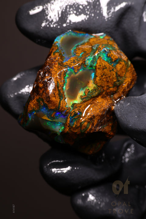 28.13g Rough Welo Ethiopian Specimen Opal
