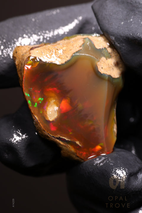 10.66g Rough Welo Ethiopian Specimen Opal