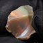 0.99g Rough Ethiopian Jewelry Grade Welo Opal
