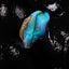 0.88g Rough Ethiopian Chalk Opal