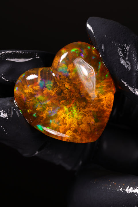91.90ct Polished Specimen