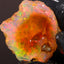 24.6 Rough Specimen
