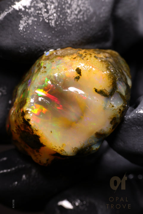 16.61g Rough Welo Ethiopian Specimen Opal