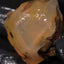 22.14g Rough Specimen
