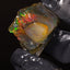 10.89g Rough Welo Ethiopian Specimen Opal