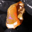 4.53g Rough Specimen