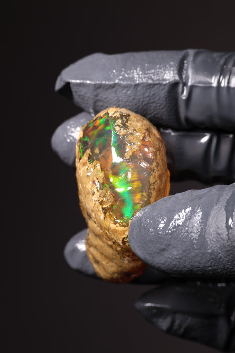 29.67g Rough Specimen