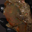 76.88g Rough Specimen