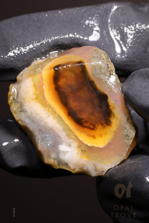 16.34g Rough Welo Ethiopian Specimen Opal