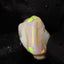 1.46g Chalk Opal