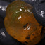 25.38g Rough Specimen