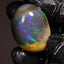 81.30ct Polished Ethiopian Specimen Welo Opal