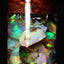 5.00g Rough Ethiopian Chalk Opal Jar
